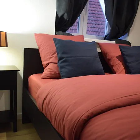 Le Box Office 2 Pieces Proche Colmar Apartament