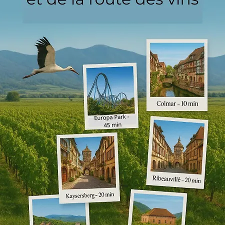 Le Box Office 2 Pieces Proche Colmar Apartament Holtzwihr